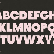 SLTF Tight Flight - Bold Funky Font
