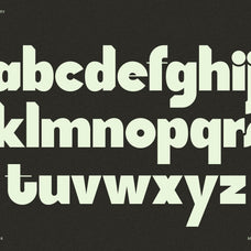 SLTF Tight Flight - Bold Funky Font