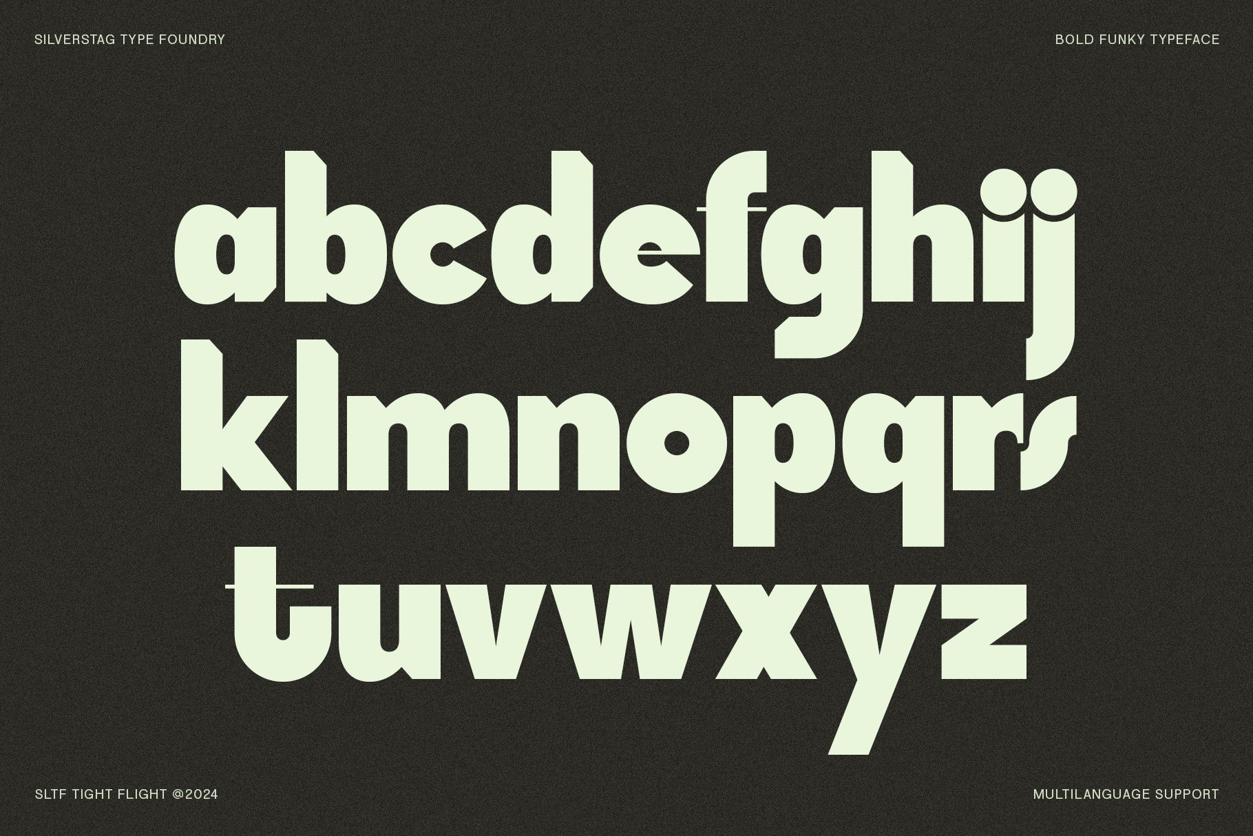 SLTF Tight Flight - Bold Funky Font