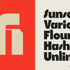 SLTF Tight Flight - Bold Funky Font