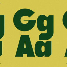 SLTF Tight Flight - Bold Funky Font