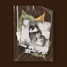 small-plastic-bags-pack-pixelbuddha-5.jpg