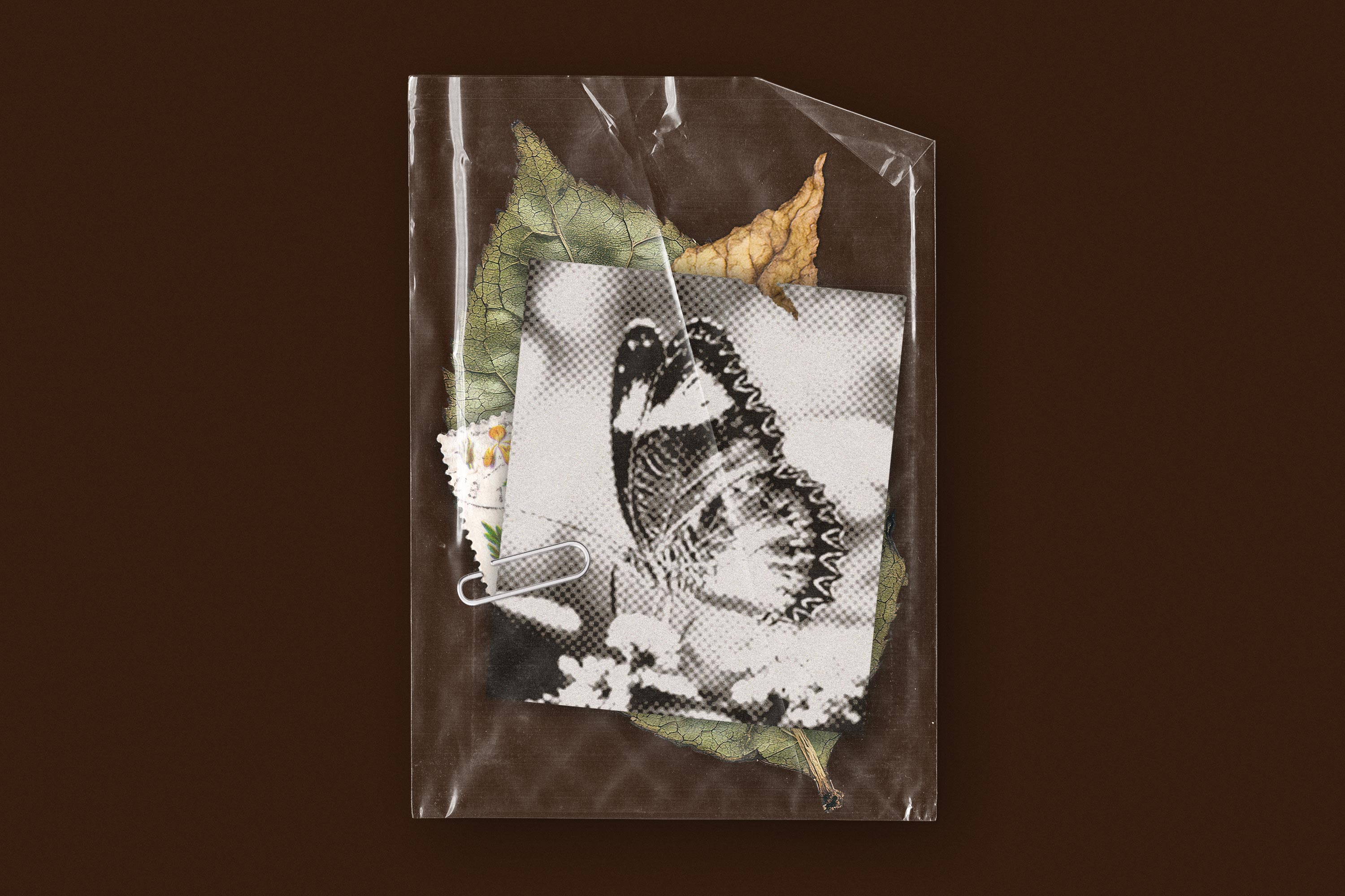small-plastic-bags-pack-pixelbuddha-5.jpg