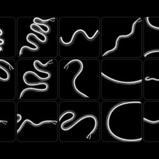 Snake Rib