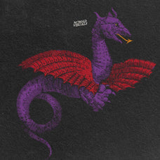 Snakes & Dragons