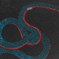 Snakes & Dragons