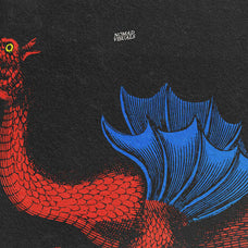 Snakes & Dragons