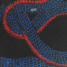 Snakes & Dragons