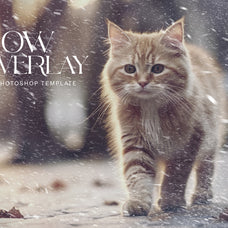snow-photo-effect-unknown-creator-4.jpg