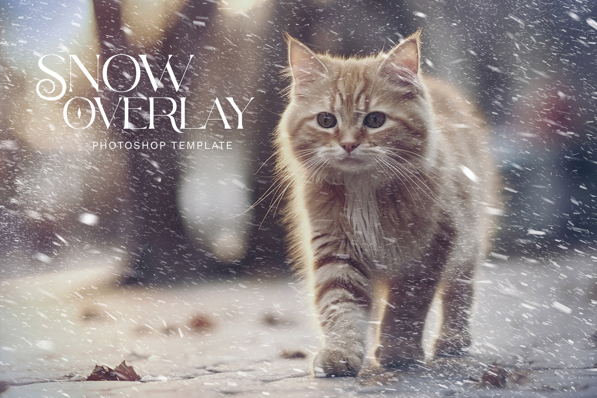 snow-photo-effect-unknown-creator-4.jpg