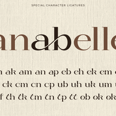 sofilera-elegant-modern-serif-say-studio-11.png