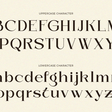 sofilera-elegant-modern-serif-say-studio-13.png