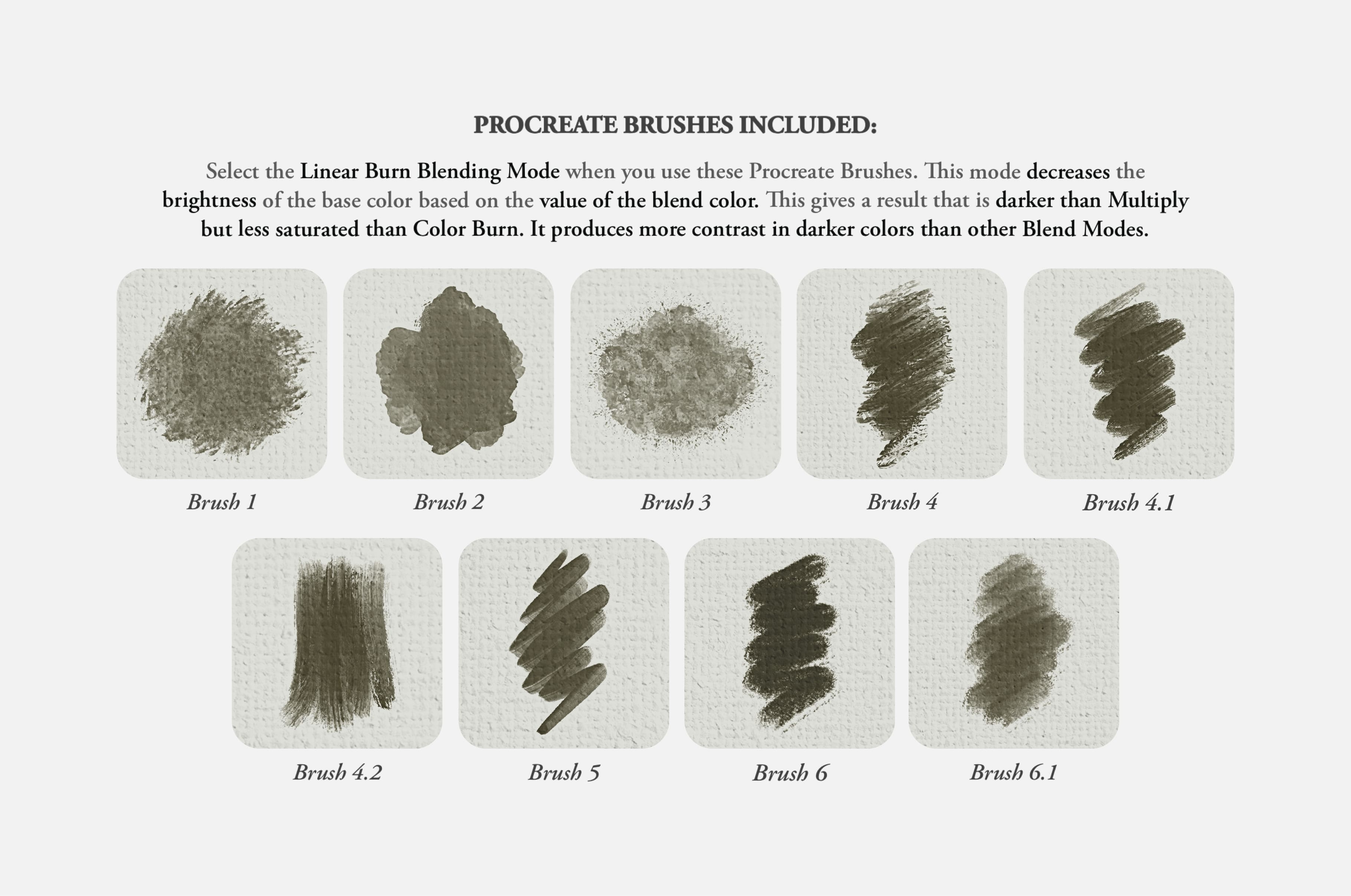 Sofonisba Anguissola Procreate Kit