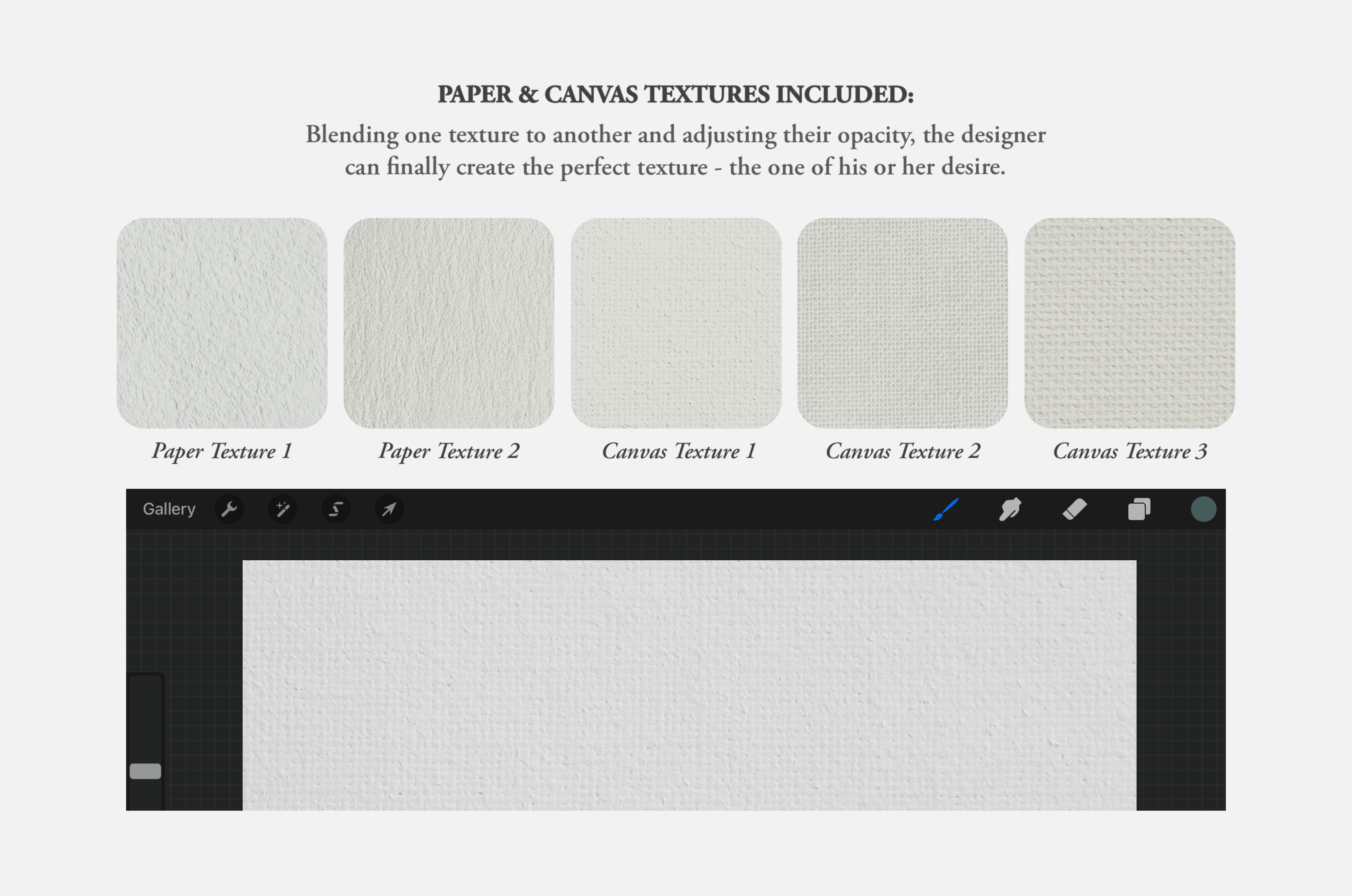 Sofonisba Anguissola Procreate Kit