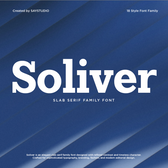 Soliver - Family Modern Slab Serif Font