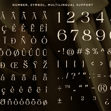 Soluga - Luxury Elegant Serif Font by Ragamkata Studio, preview 10