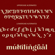 sora-carnel-retro-serif-font-say-studio-5.png