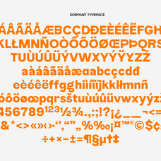 sorpant-display-sans-jolicia-type-9.png