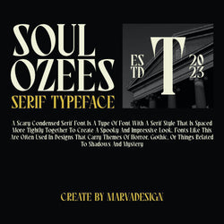 Soul Ozees - image 2