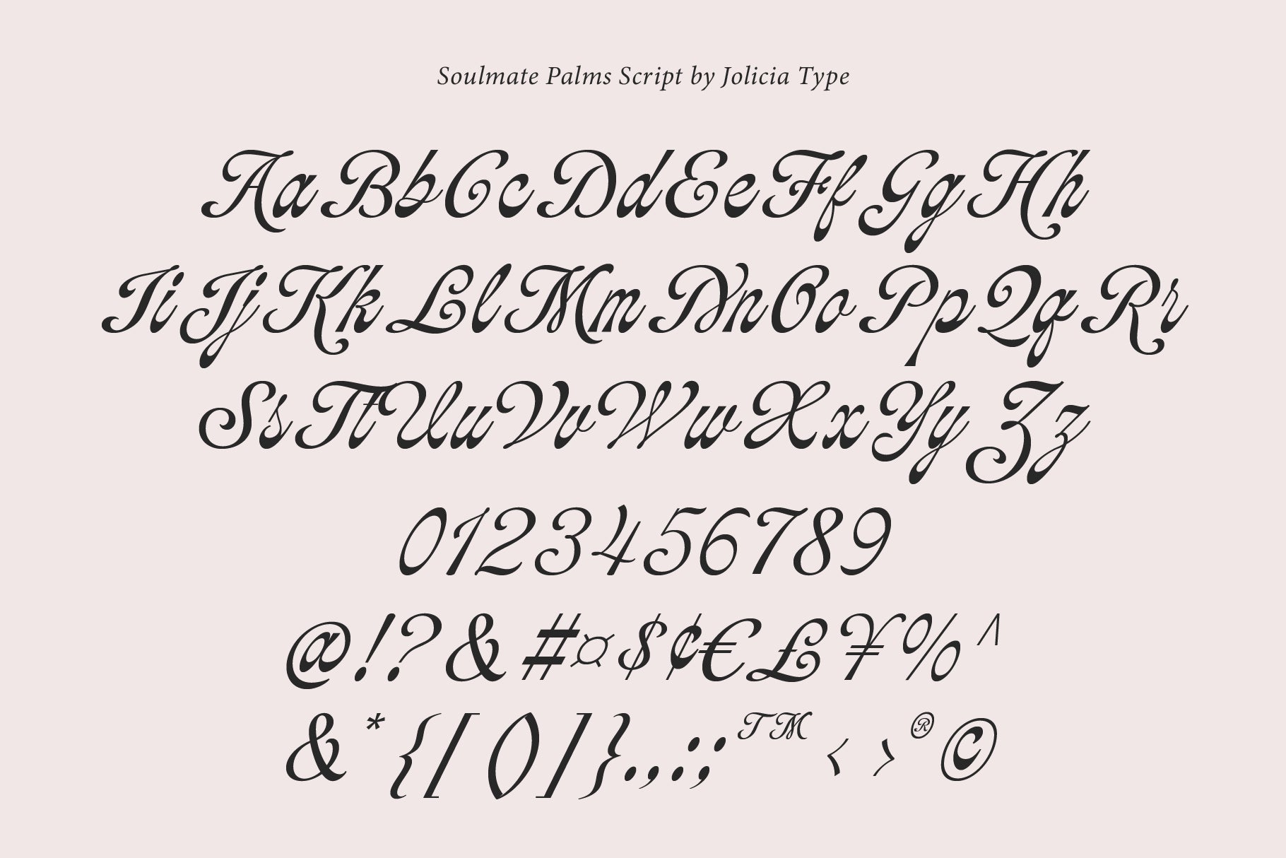 soulmate-palms-vintage-script-jolicia-type-10.png