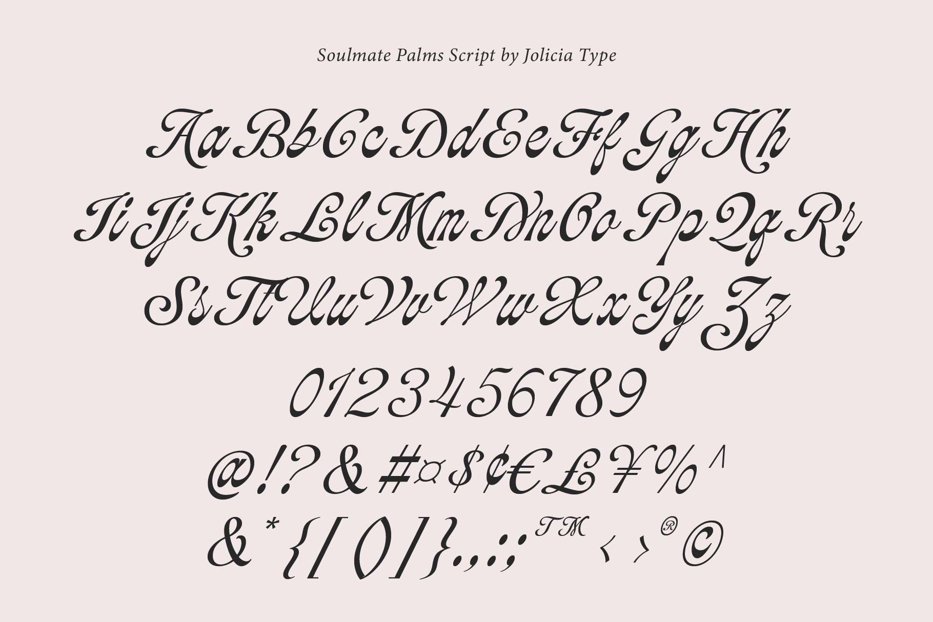 soulmate-palms-vintage-script-jolicia-type-10.png