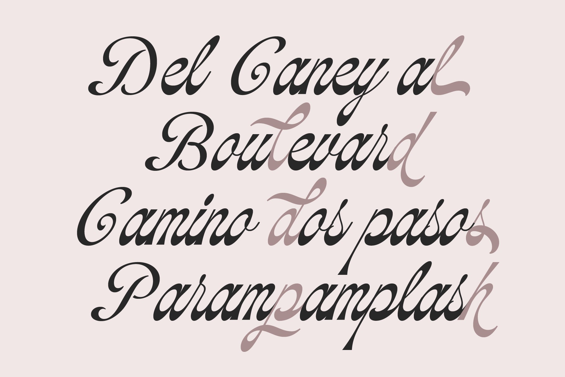 soulmate-palms-vintage-script-jolicia-type-5.png