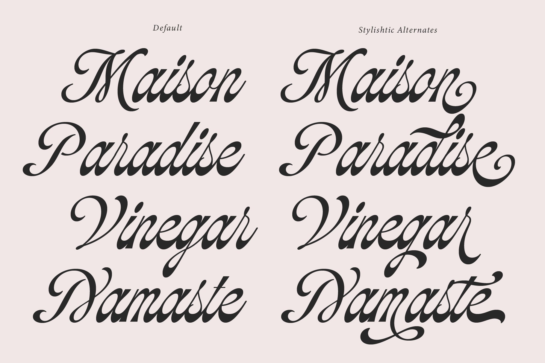 soulmate-palms-vintage-script-jolicia-type-6.png