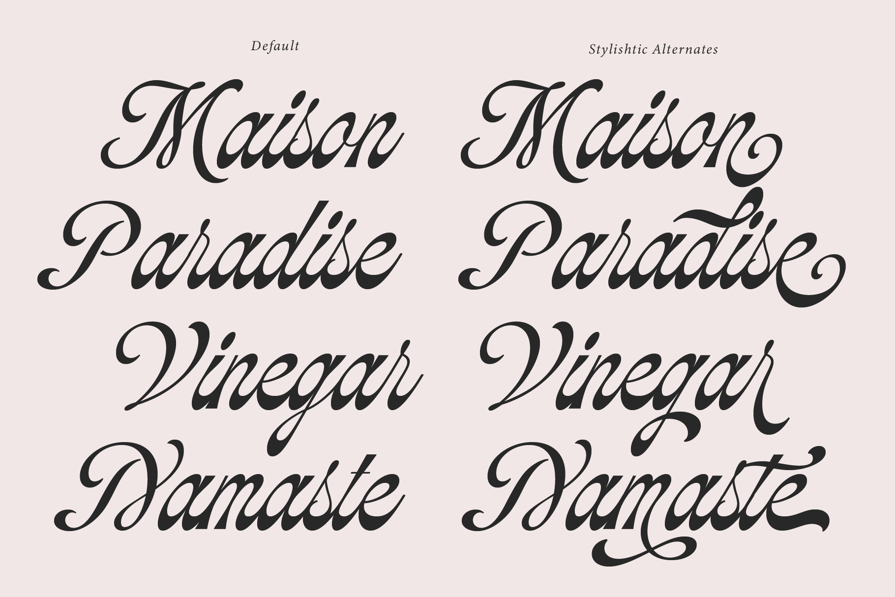 soulmate-palms-vintage-script-jolicia-type-6.png