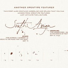 south-assign-vintage-inspired-font-sarid-ezra-10.jpg