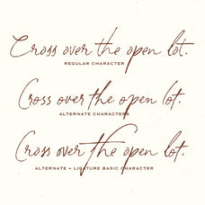 south-assign-vintage-inspired-font-sarid-ezra-8.jpg