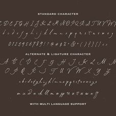 south-assign-vintage-inspired-font-sarid-ezra-9.jpg