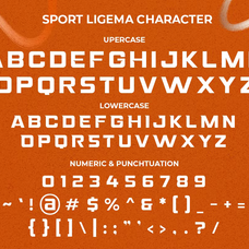 sport-ligema-sports-branding-font-unknown-creator-9.png