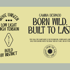 st-camino-frontera-modern-western-display-font-type-it-easy-9.jpg