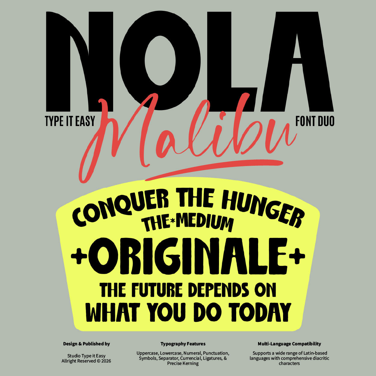 st-nola-malibu-display-script-font-duo-type-it-easy-1.jpg