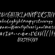 st-nola-malibu-display-script-font-duo-type-it-easy-11.jpg