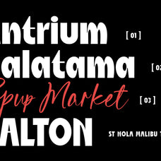 st-nola-malibu-display-script-font-duo-type-it-easy-13.jpg