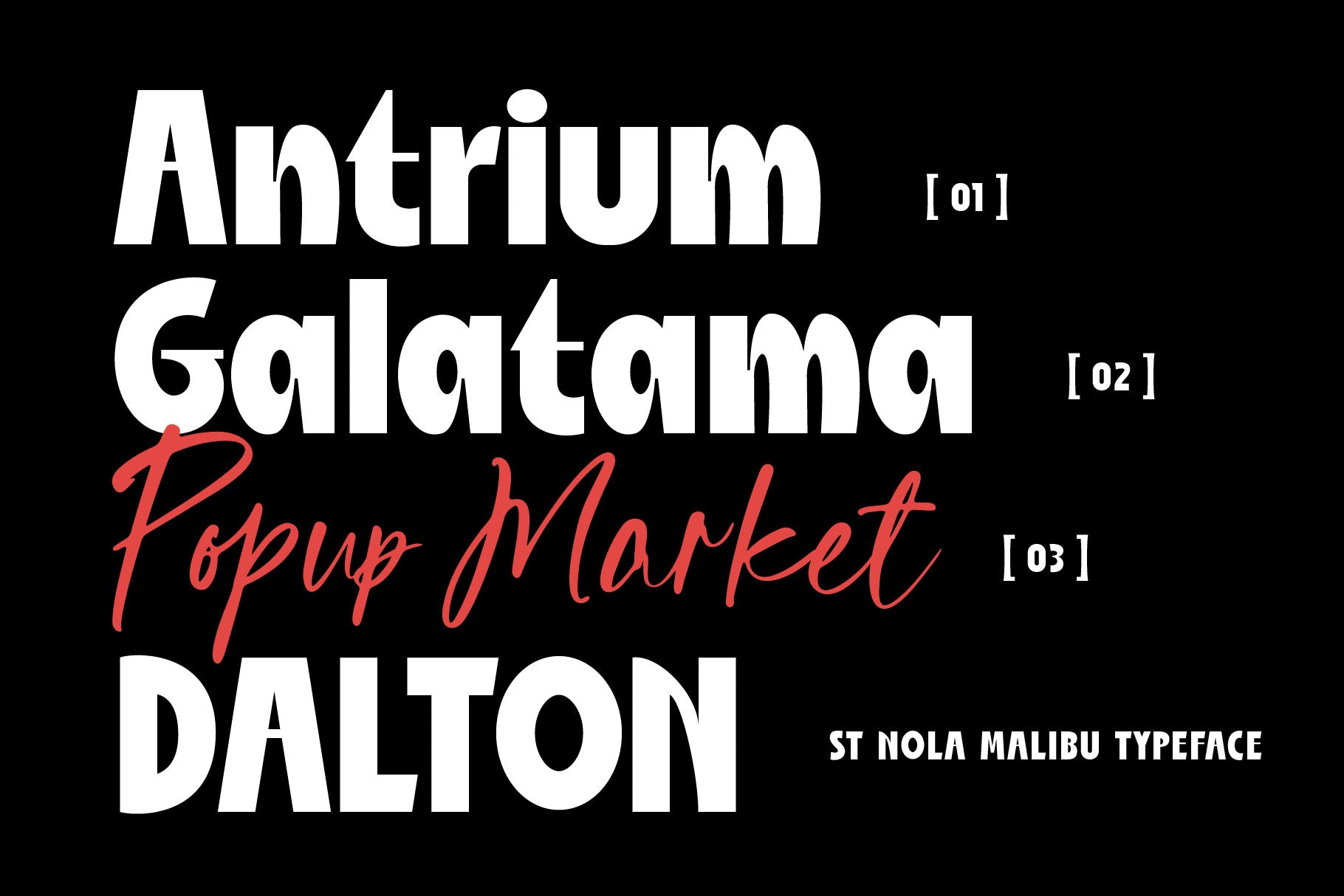 st-nola-malibu-display-script-font-duo-type-it-easy-13.jpg