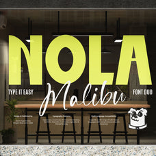 st-nola-malibu-display-script-font-duo-type-it-easy-18.jpg
