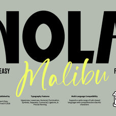st-nola-malibu-display-script-font-duo-type-it-easy-2.jpg
