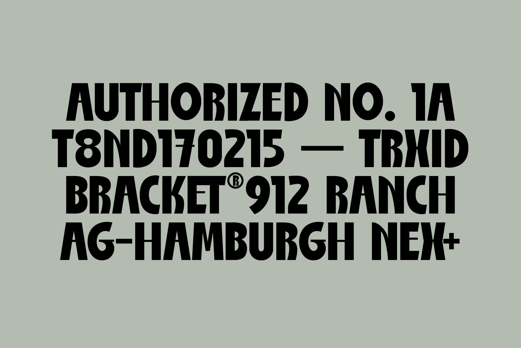 st-nola-malibu-display-script-font-duo-type-it-easy-5.jpg