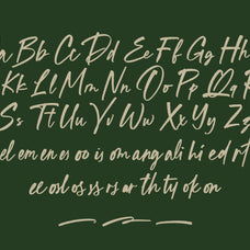 st-pinkman-signature-script-type-it-easy-6.jpg