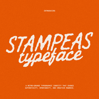 Stampeas - Brush Script Font