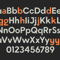 stanley-sans-geometric-variable-font-btype-2.jpg