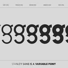 stanley-sans-geometric-variable-font-btype-6.jpg