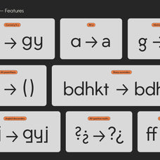stanley-sans-geometric-variable-font-btype-8.jpg