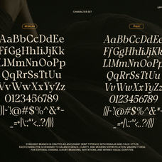 starlight-branch-elegant-luxury-serif-font-ragamkata-studio-10.png