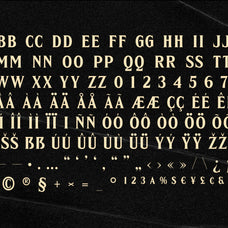 stranger-friz-horror-movie-fonts-casloop-studio-5.jpg