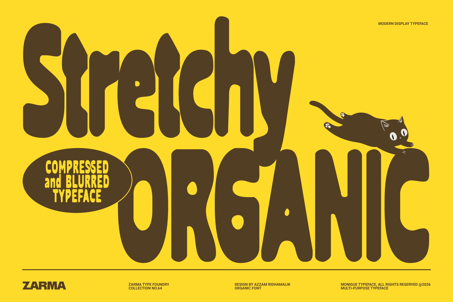 stretchy-organic-font-zarma-type-2.png