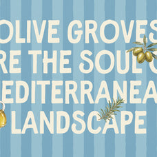 studios-meditera-font-duo-the-native-saint-club-9.jpg