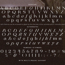 stylish-delight-modern-serif-sarid-ezra-8.jpg